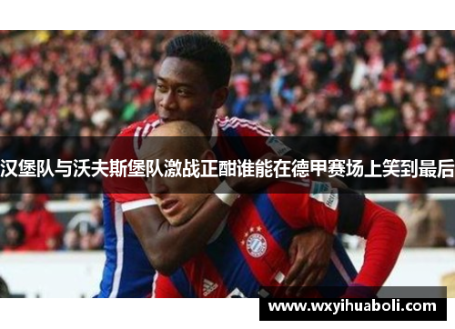 汉堡队与沃夫斯堡队激战正酣谁能在德甲赛场上笑到最后